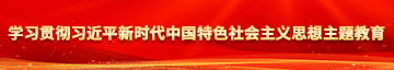 狠狠操女人骚逼视频学习贯彻习近平新时代中国特色社会主义思想主题教育